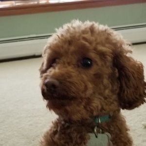 Meet your Posher, Maryann